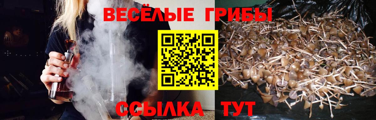 Подольск  Псилоцибиновые грибы Psilocybine cubensis  где продают наркотики  Псилоцибиновые грибы мицелий  Вход с VPN 